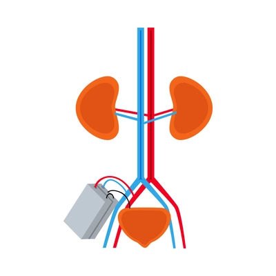 Bionic kidney prosthesis flat icon vector illustration