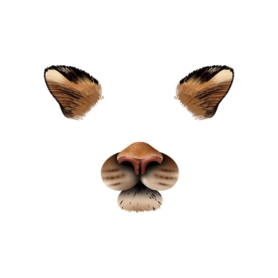 Cute tiger animal mask video chat photo application effect realistic vector illustration