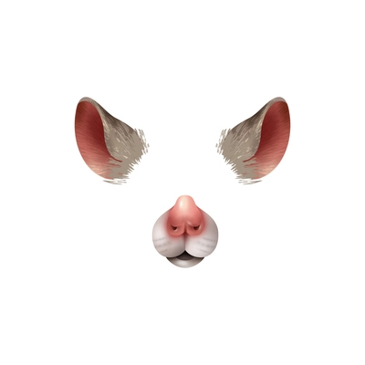 Cute mouse animal mask video chat photo application effect realistic vector illustration