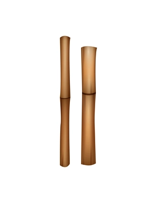 Dry bamboo sticks isolated on white background realistic vector illustration