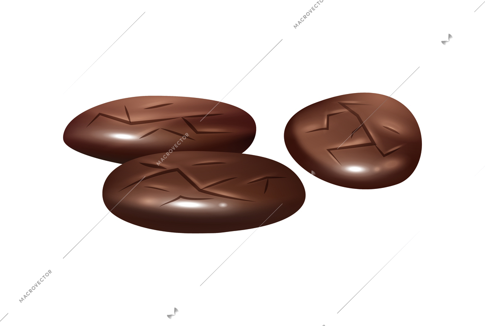 Realistic cocoa beans on white background vector illustration