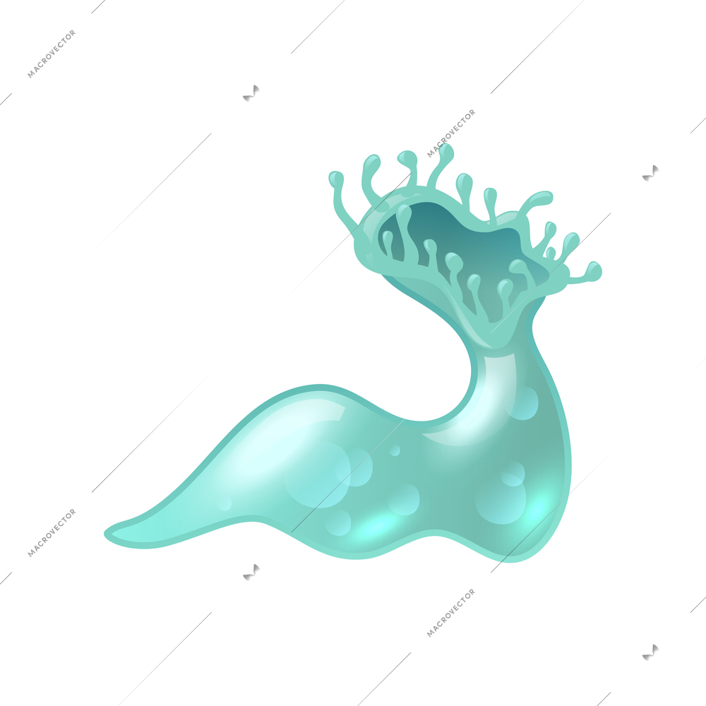 Realistic unicellular microorganism on white background vector illustration