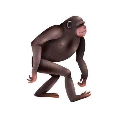 Realistic walking primate on white background vector illustration