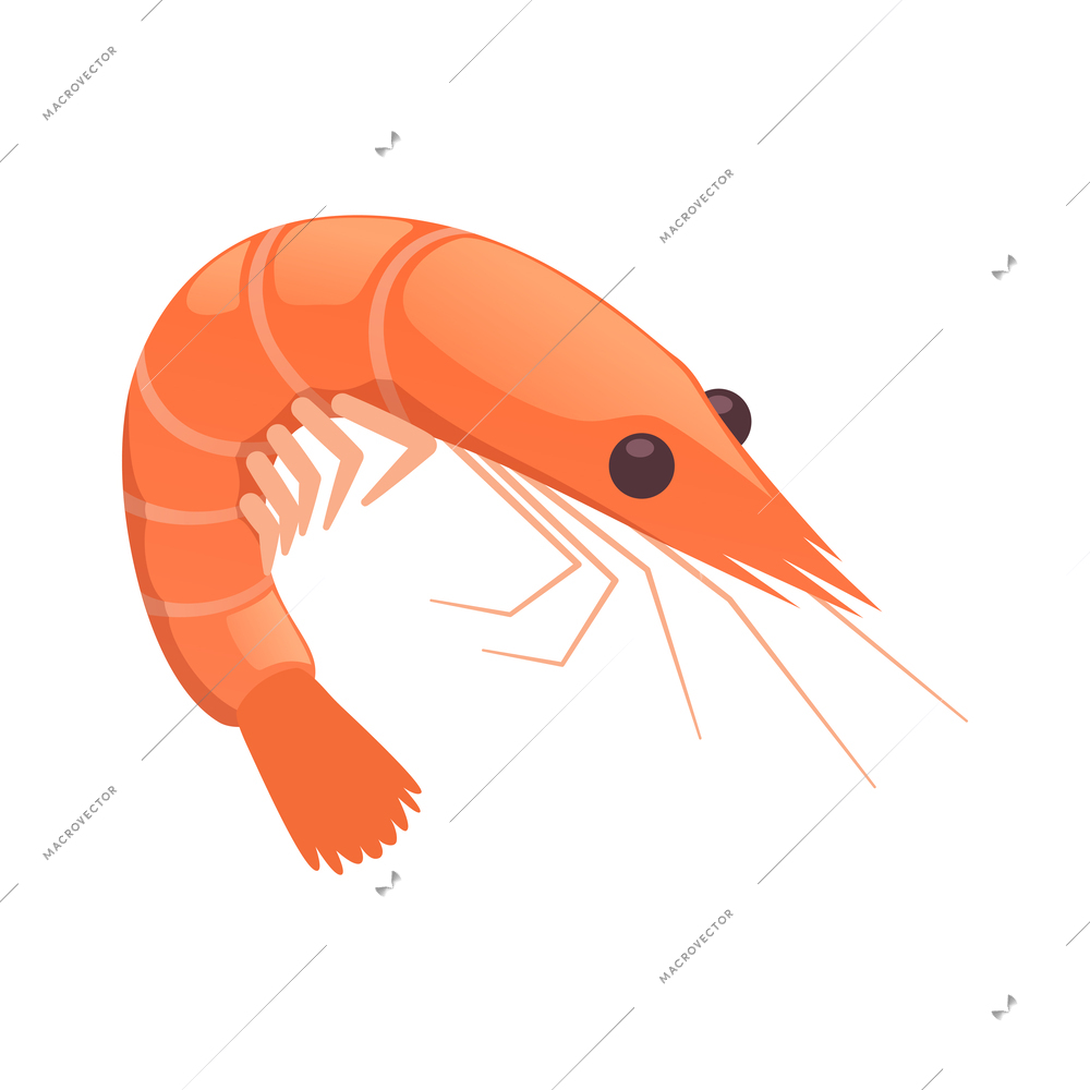 Shrimp isometric icon on white background vector illustration