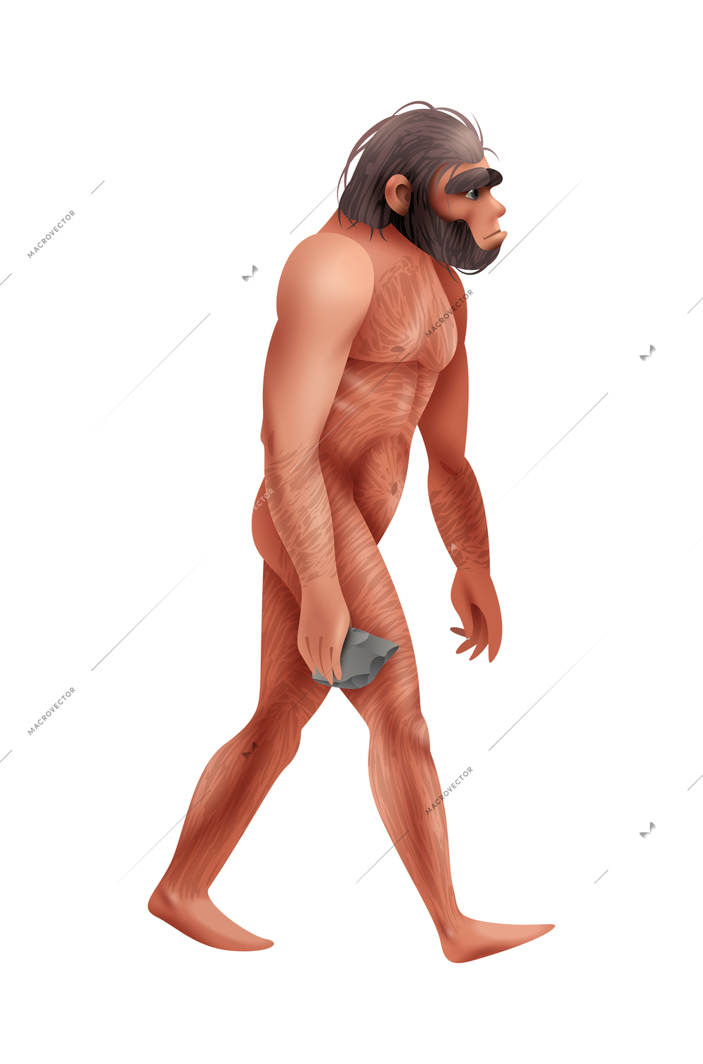 Realistic homo habilis with stone vector illustration