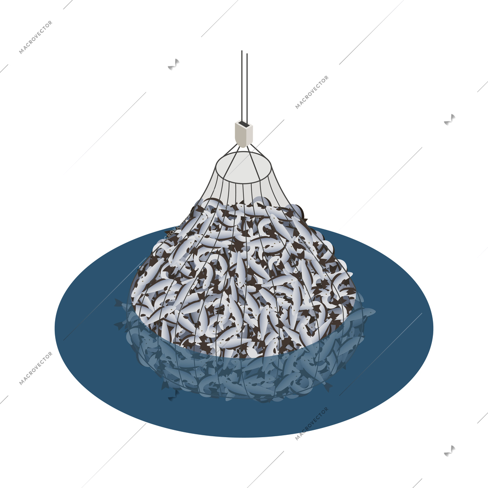 Fish industry isometric icon with fishing net vector illustration