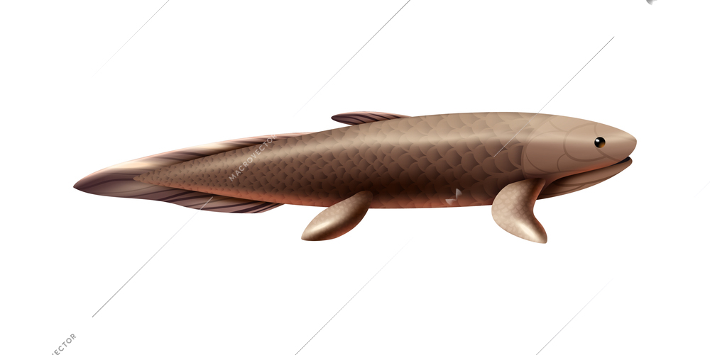 Realistic prehistoric fish on white background vector illustration