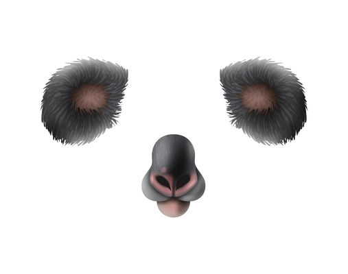 Cute koala animal mask video chat photo application effect realistic vector illustration