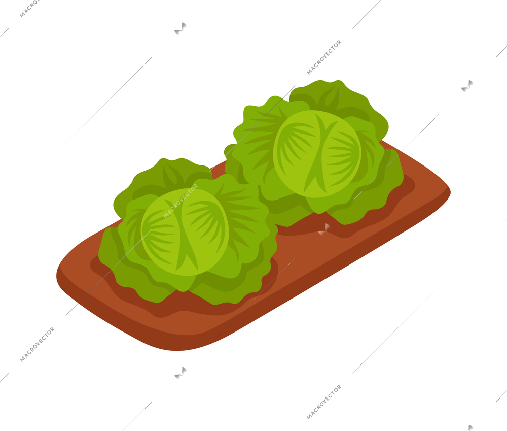 White cabbage in vegetable bed isometric icon 3d isolated vector illustration