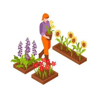 Gardener growing flowers carrying pot with blooming plant isometric icon vector illustration