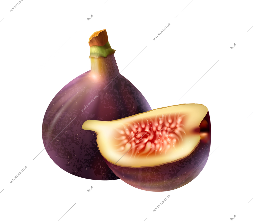 Realistic whole and sliced fig vector illustration