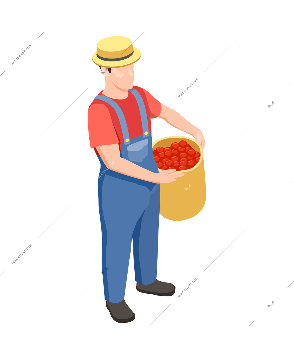 Male farmer in uniform holding bag of fresh tomatoes isometric icon 3d vector illustration