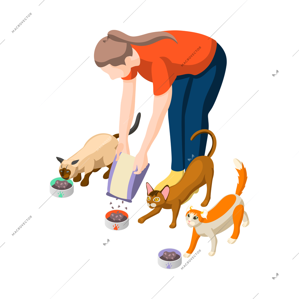 Animal care volunteering isometric icon with woman feeding cats vector illustration