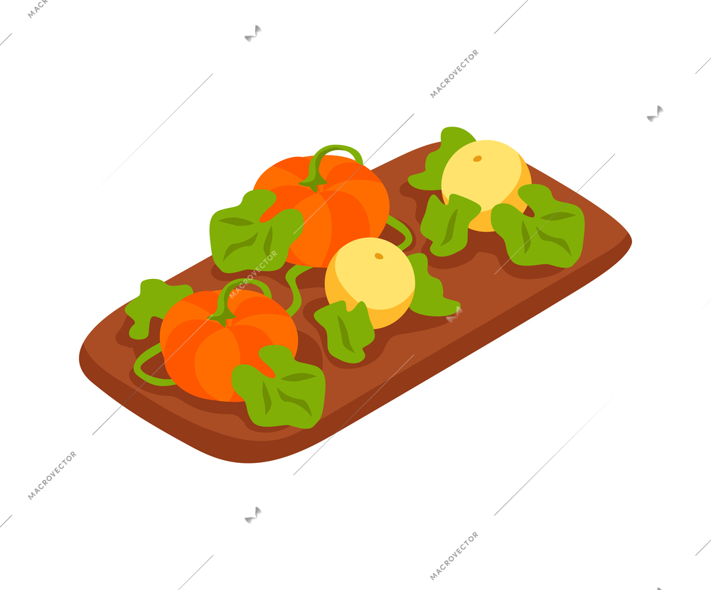 Pumpkins growing in vegetable bed isometric icon isolated 3d vector illustration