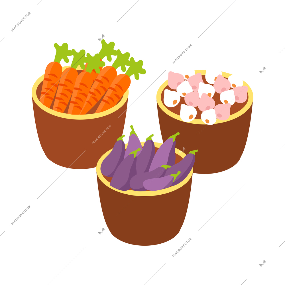 Gardening isometric icon with fresh vegetables in buckets 3d vector illustration