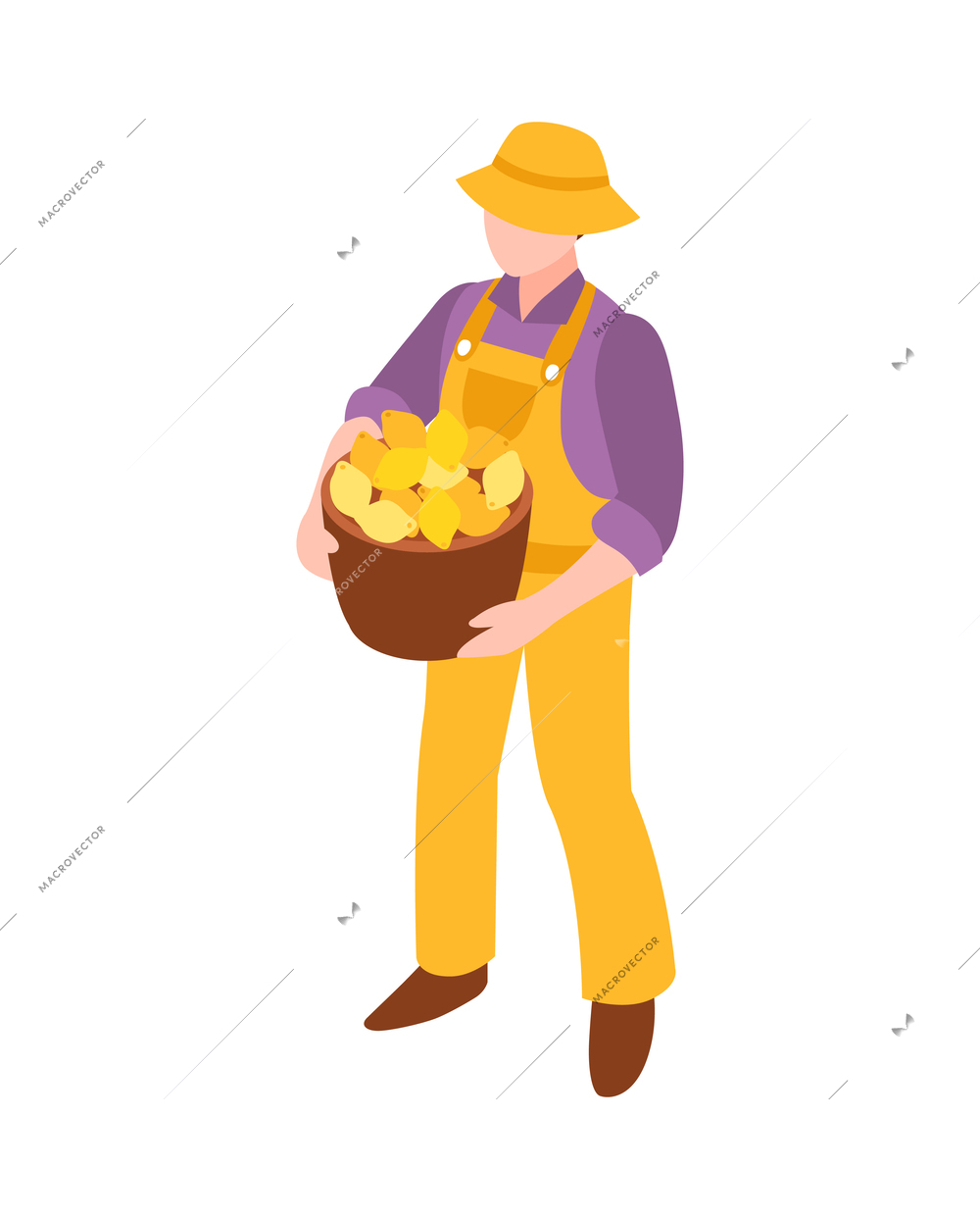 Isometric male character of farmer or gardener holding basket of lemons vector illustration