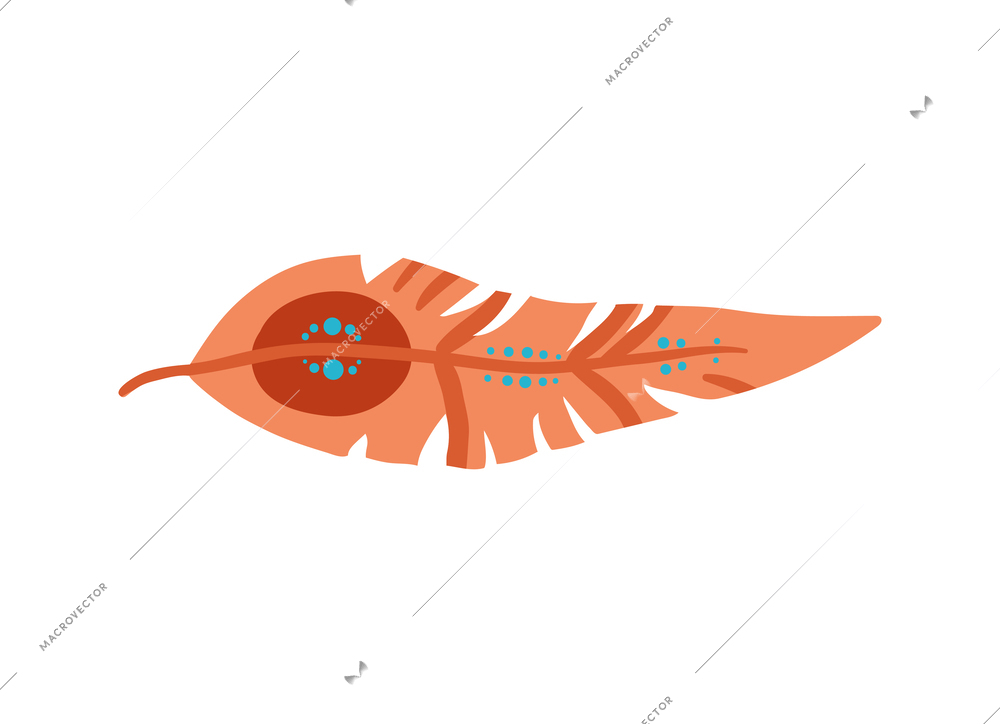 Flat patterned color feather boho style decorative element vector illustration