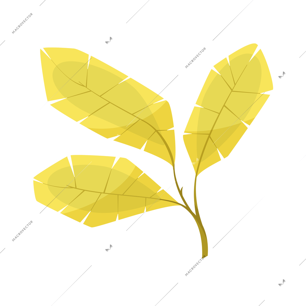 Cartoon yellowish tropical plant leaves vector illustration