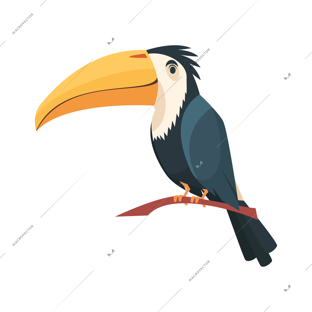 Cute cartoon toucan on tree branch vector illustration