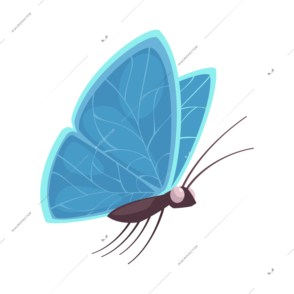 Cartoon cute exotic butterfly with blue wings vector illustration