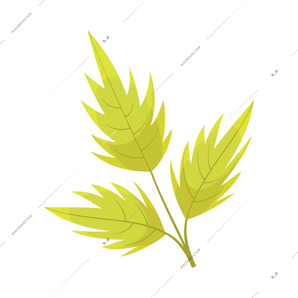 Cartoon green leaf on white background vector illustration