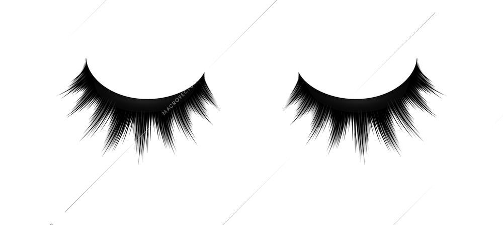 Realistic pair of black false eyelashes isolated vector illustration