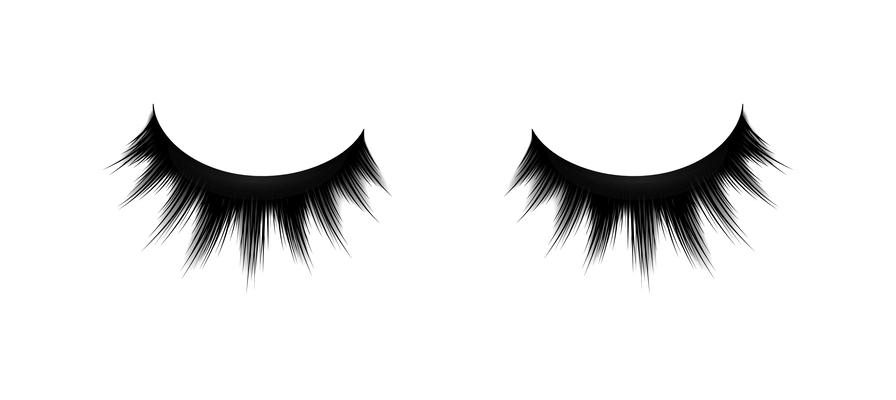 Realistic pair of black false eyelashes isolated vector illustration