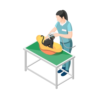 Female veterinarian examining cat isometric icon 3d vector illustration