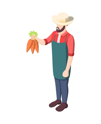 Male farmer holding bunch of ripe carrots isometric icon vector illustration