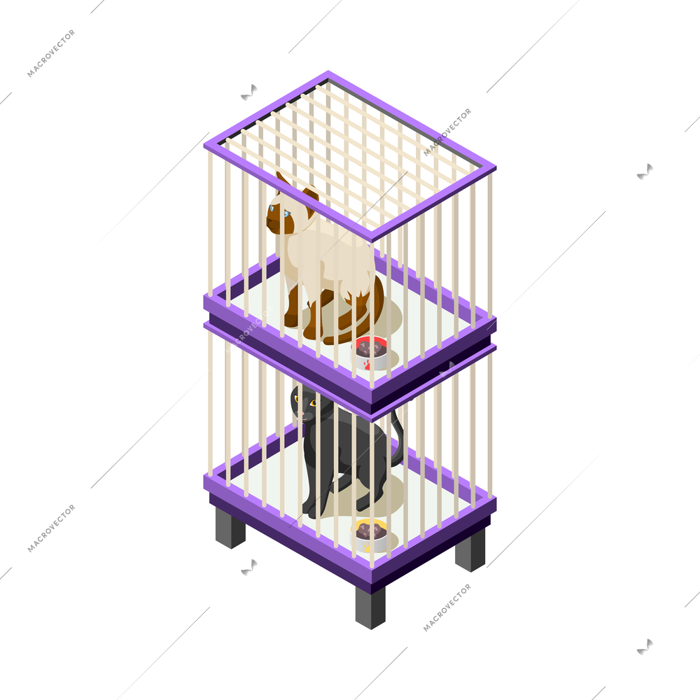 Animal shelter isometric icon with cats in cages 3d vector illustration