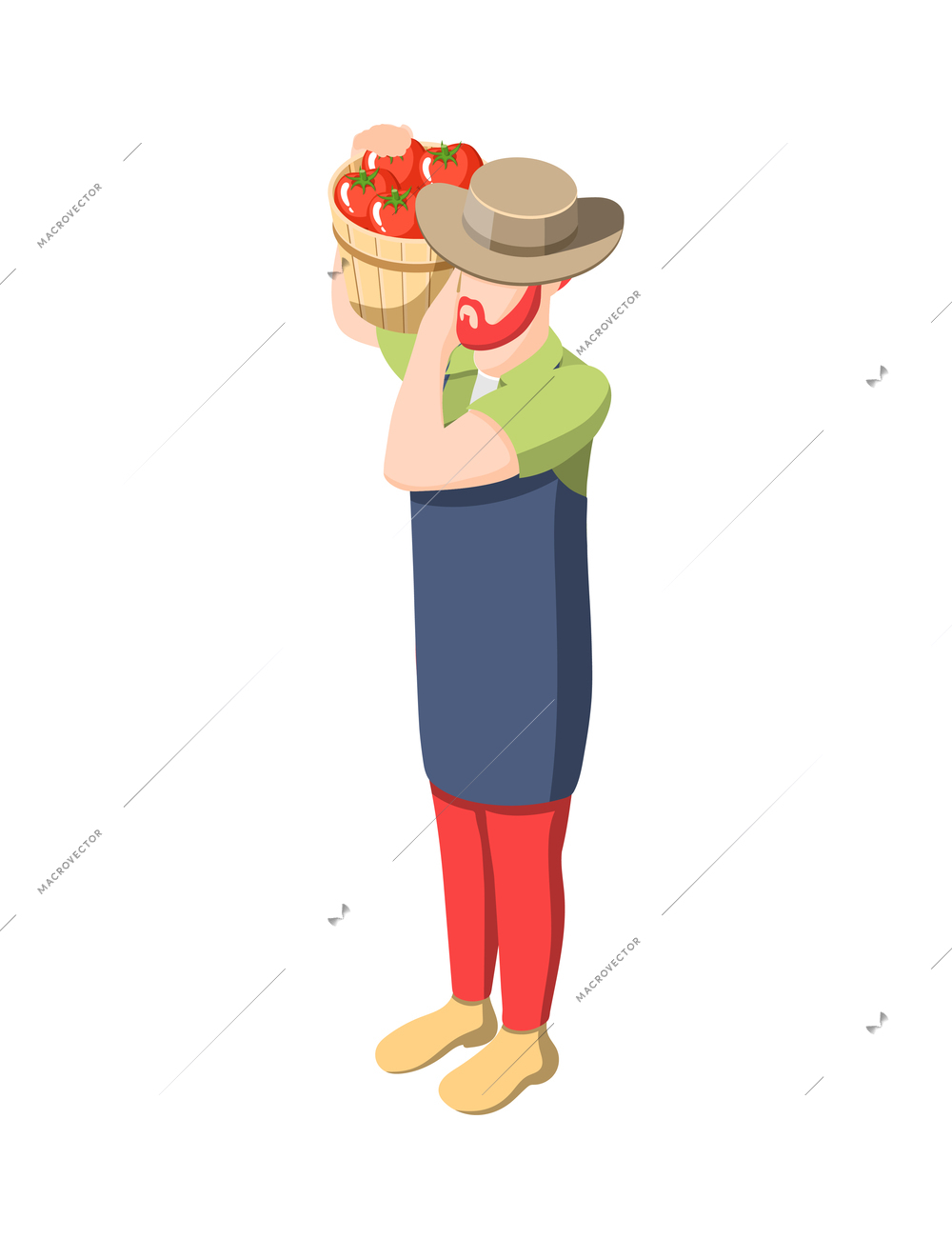 Isometric male farmer holding bucket of fresh tomatoes icon vector illustration