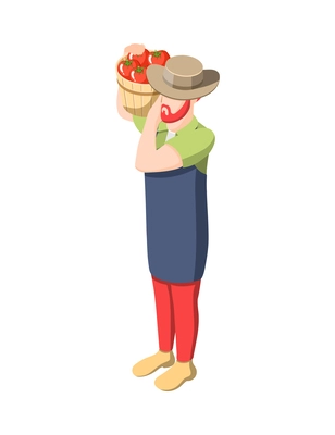 Isometric male farmer holding bucket of fresh tomatoes icon vector illustration