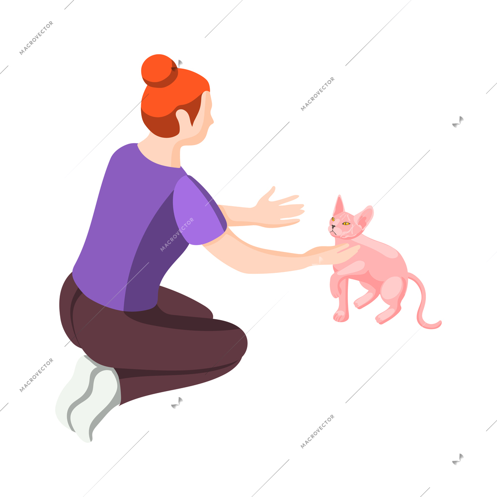 Animal care volunteering isometric icon with woman and sphinx cat vector illustration