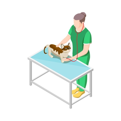 Female vet examining cat with stethoscope isometric icon 3d vector illustration