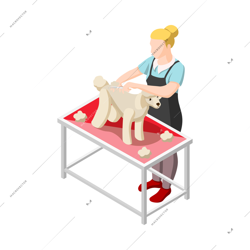 Female groomer grooming dog at pet salon isometric icon vector illustration
