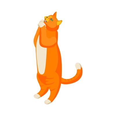 Isometric purebred ginger cat vector illustration