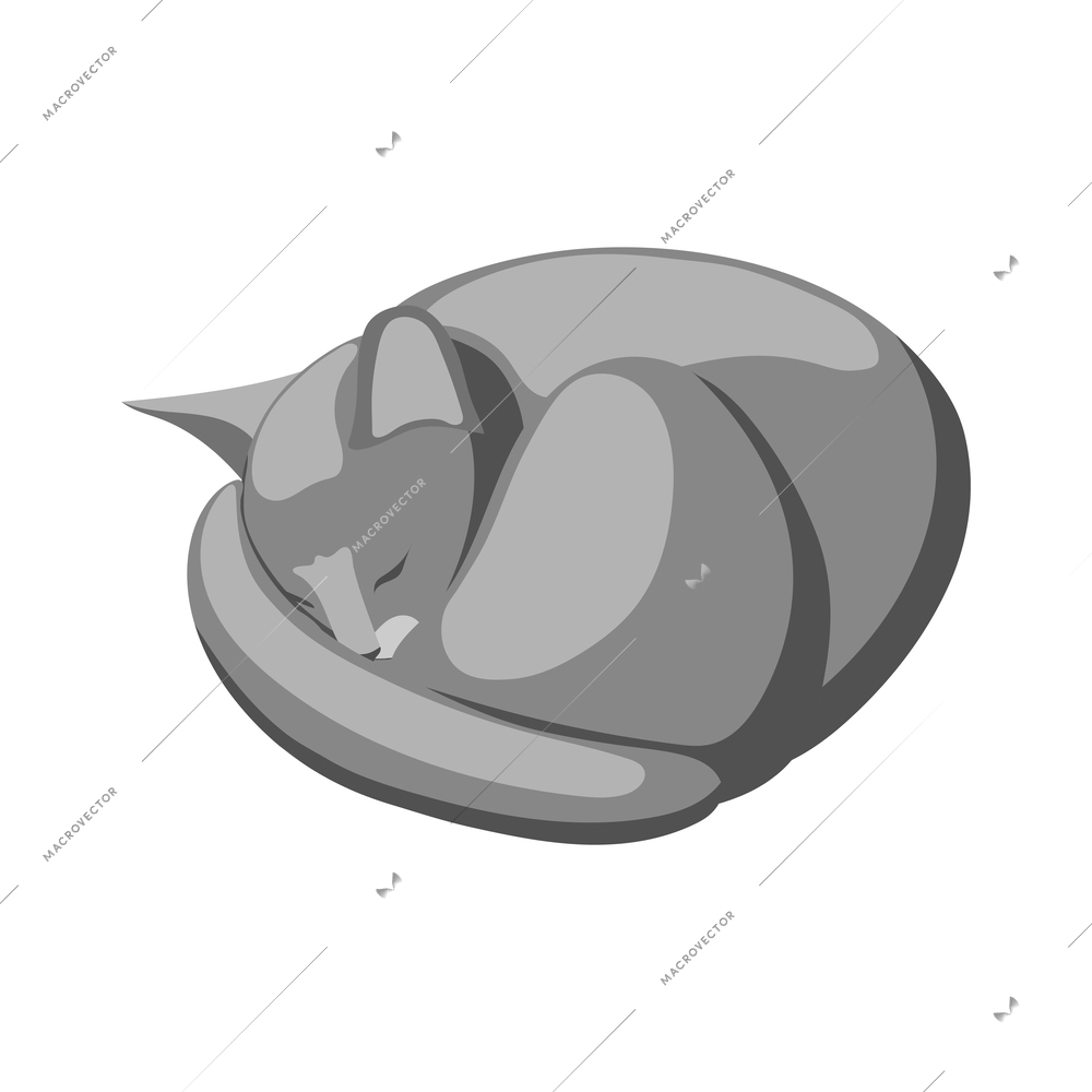 Isometric sleeping purebred british cat vector illustration