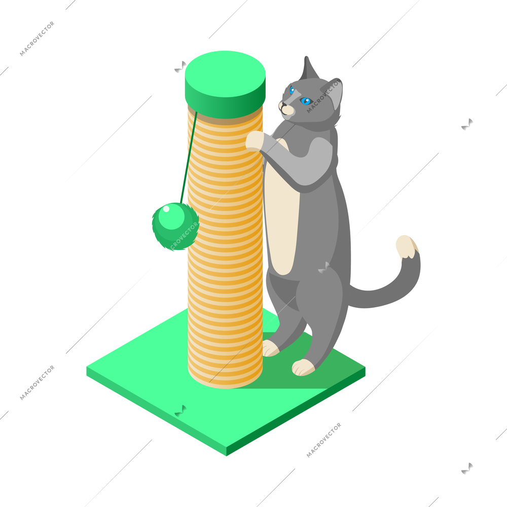 Grey cat scratching scratcher isometric icon vector illustration