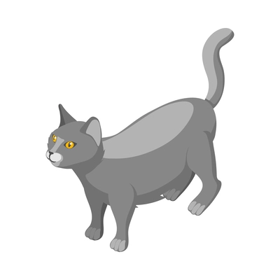 Purebred british cat isometric vector illustration