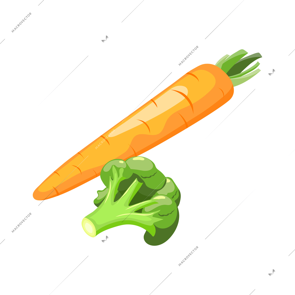 Fresh vegetables isometric icon with raw carrot and broccoli vector illustration