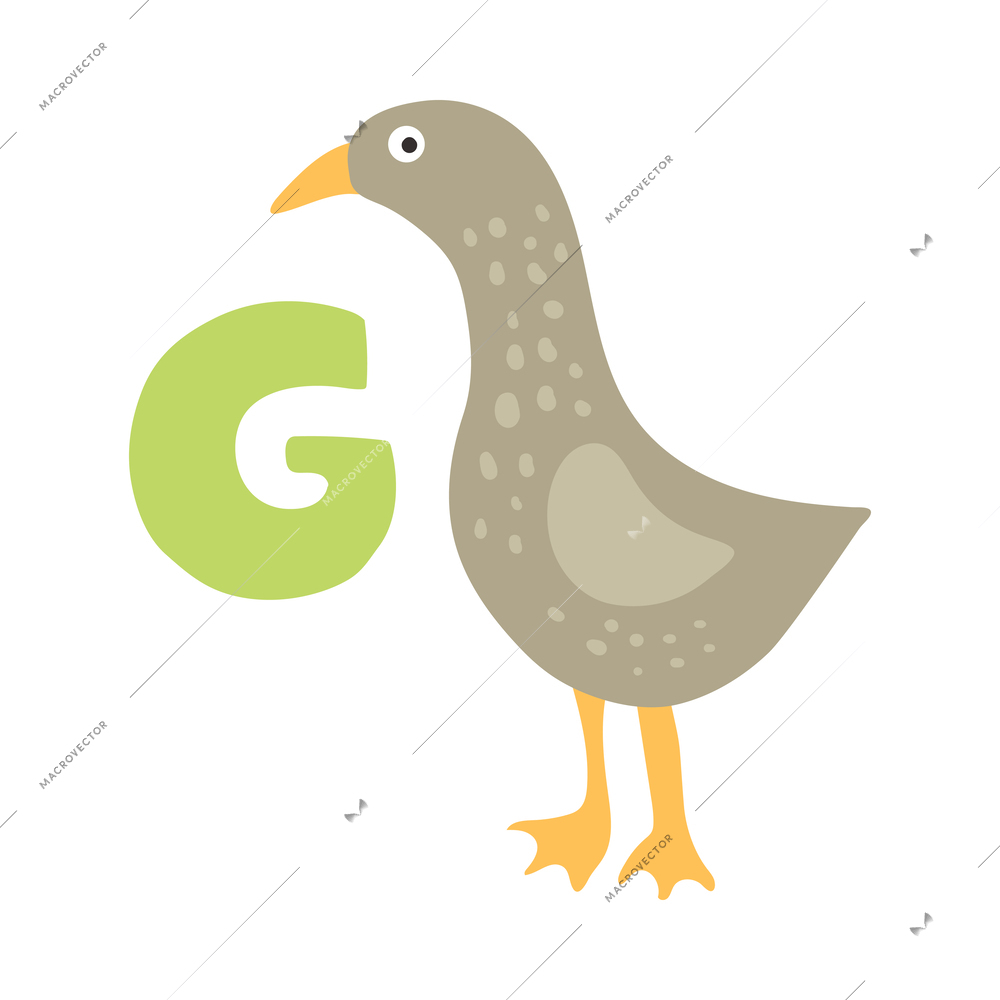 Children alphabet cute animal letter g for goose flat vector illustration