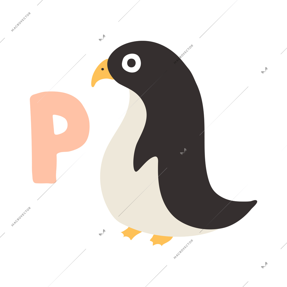 Children alphabet cute animal letter p for penguin flat vector illustration