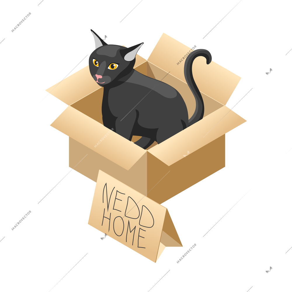 Animal care volunteering isometric icon with homeless cat in cardboard box vector illustration