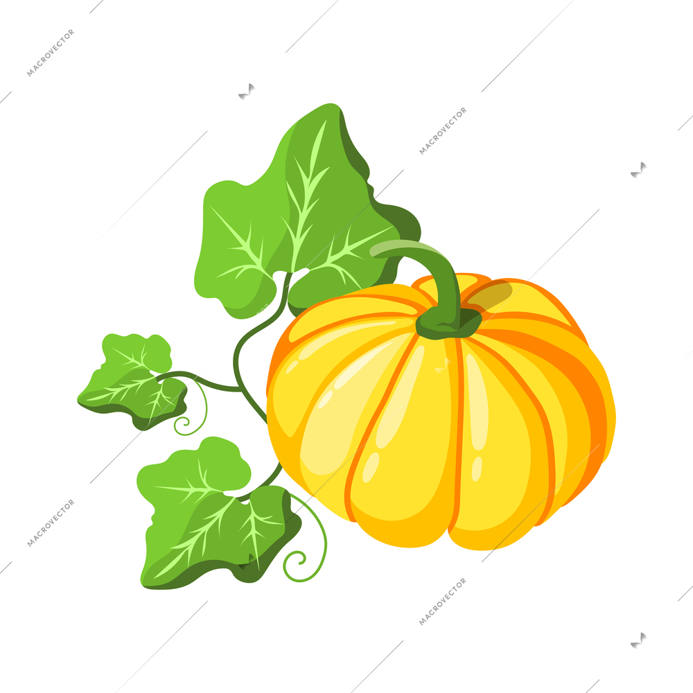 Yellow pumpkin with green leaves isometric icon vector illustration