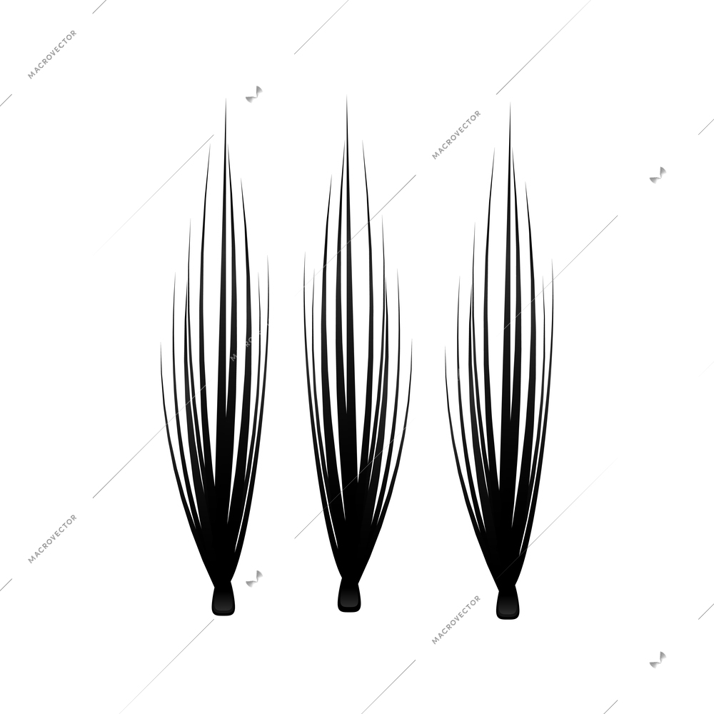 Realistic black false eyelashes bundles isolated vector illustration