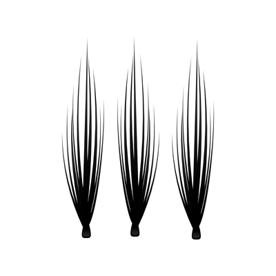 Realistic black false eyelashes bundles isolated vector illustration