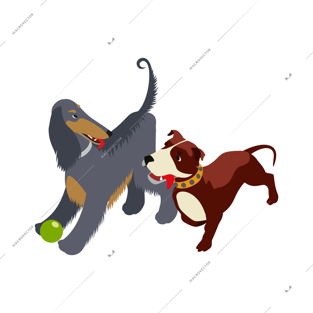 Cute dogs playing together isometric icon vector illustration