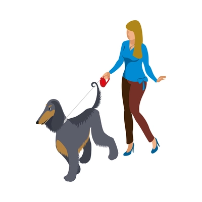 Isometric woman walking with her greyhound dog vector illustration