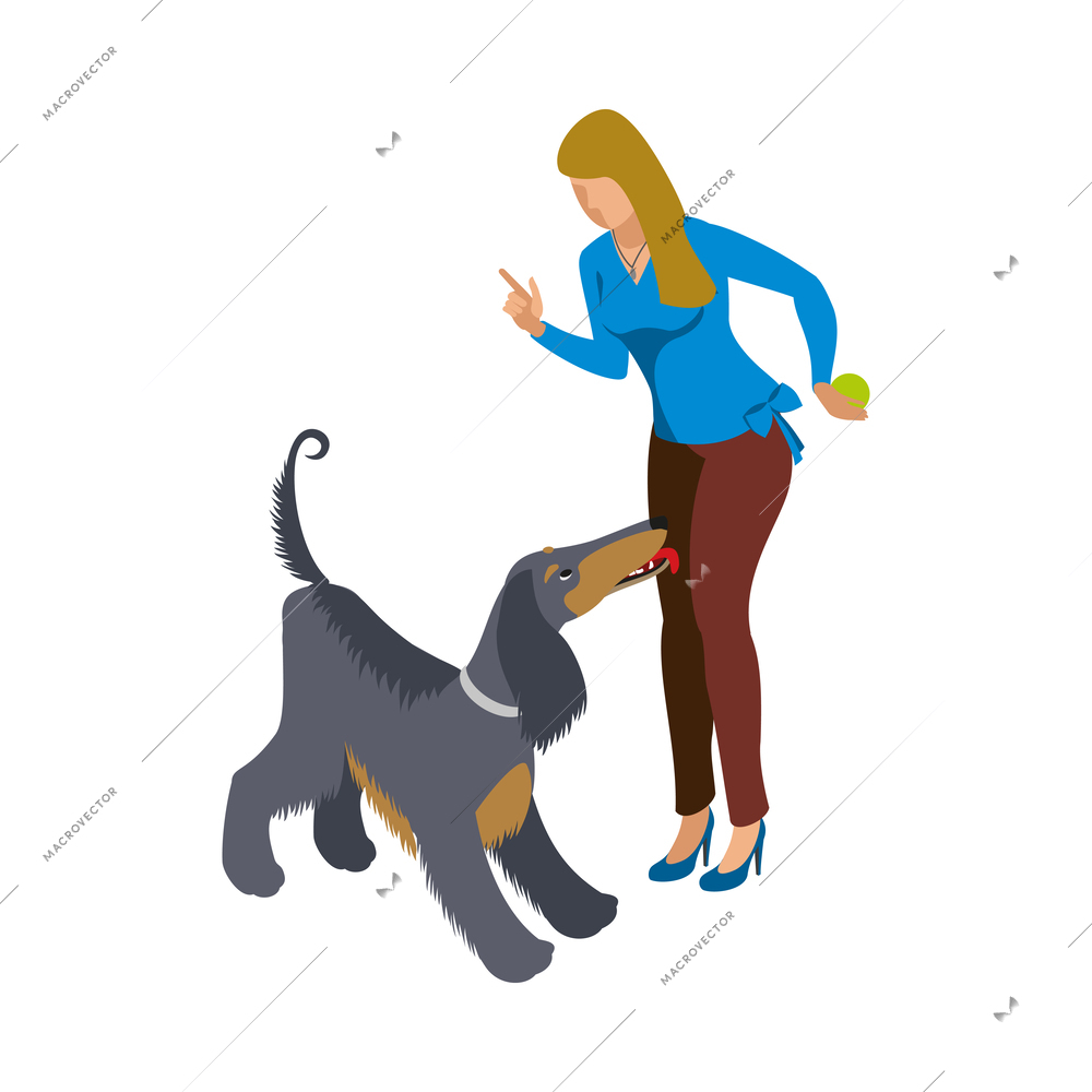 Woman playing with her greyhound isometric icon vector illustration