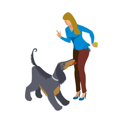 Woman playing with her greyhound isometric icon vector illustration